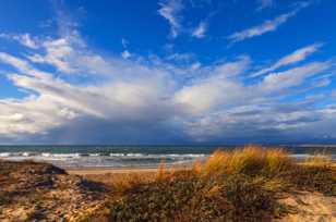 Moss Landing-1784.jpg